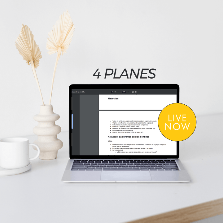 Planificación Personalizada – 4 Planes (Homeschooling)